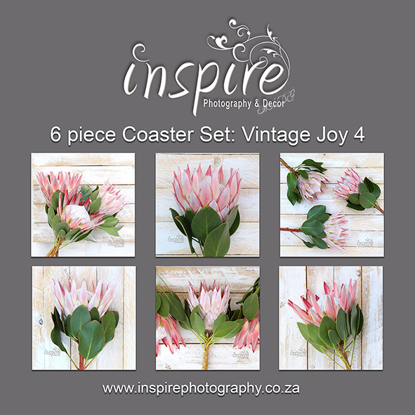 Inspire Protea Coaster Set: Vintage Joy 4