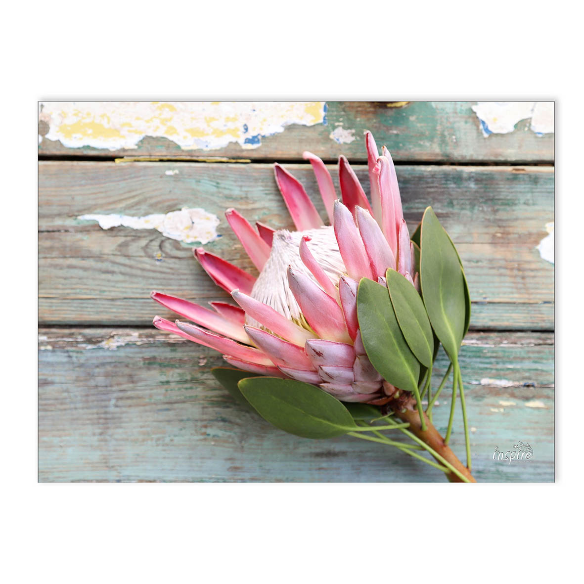 Hot Pot Stand:  Tile PKH110