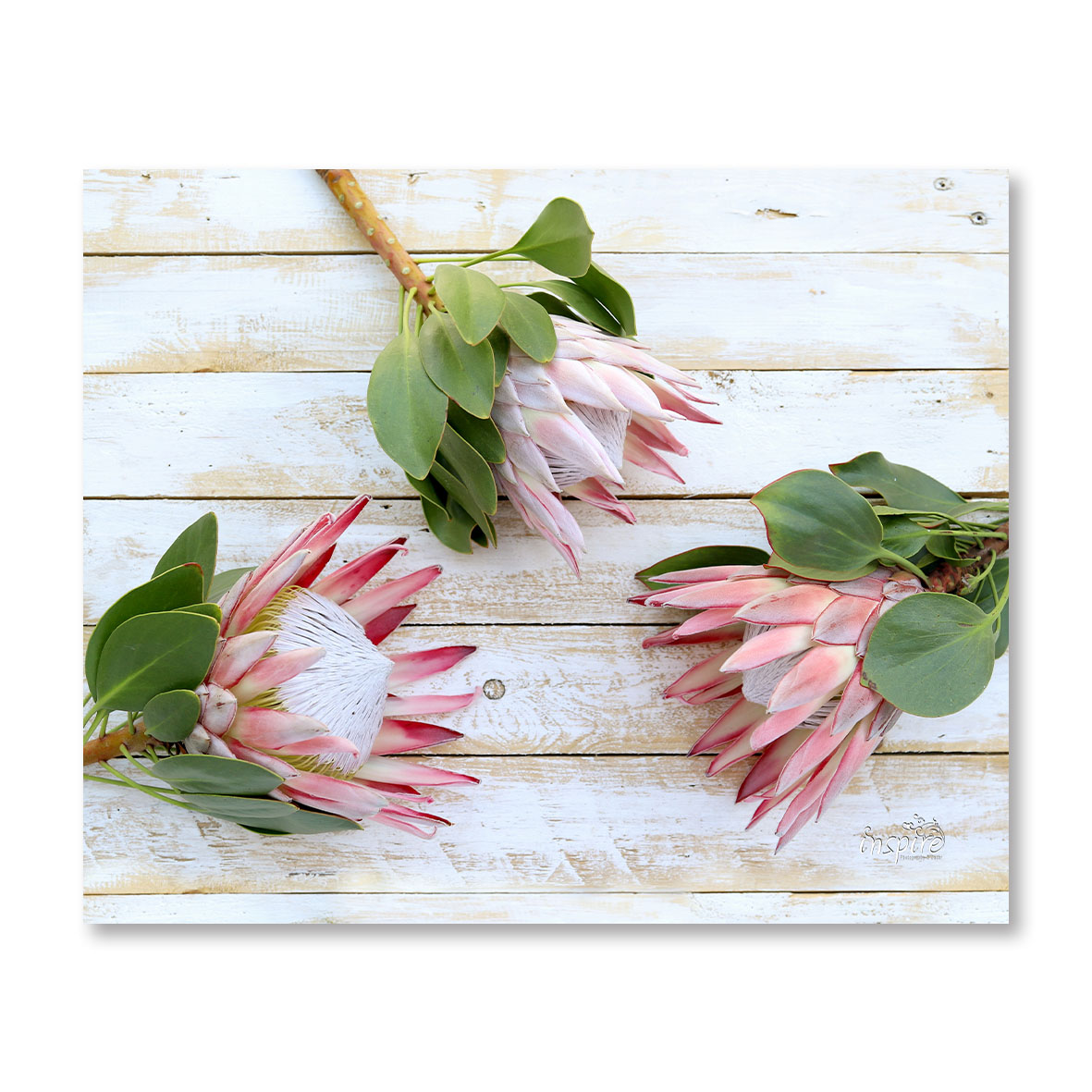 Hot Pot Stand:  Tile PKH3