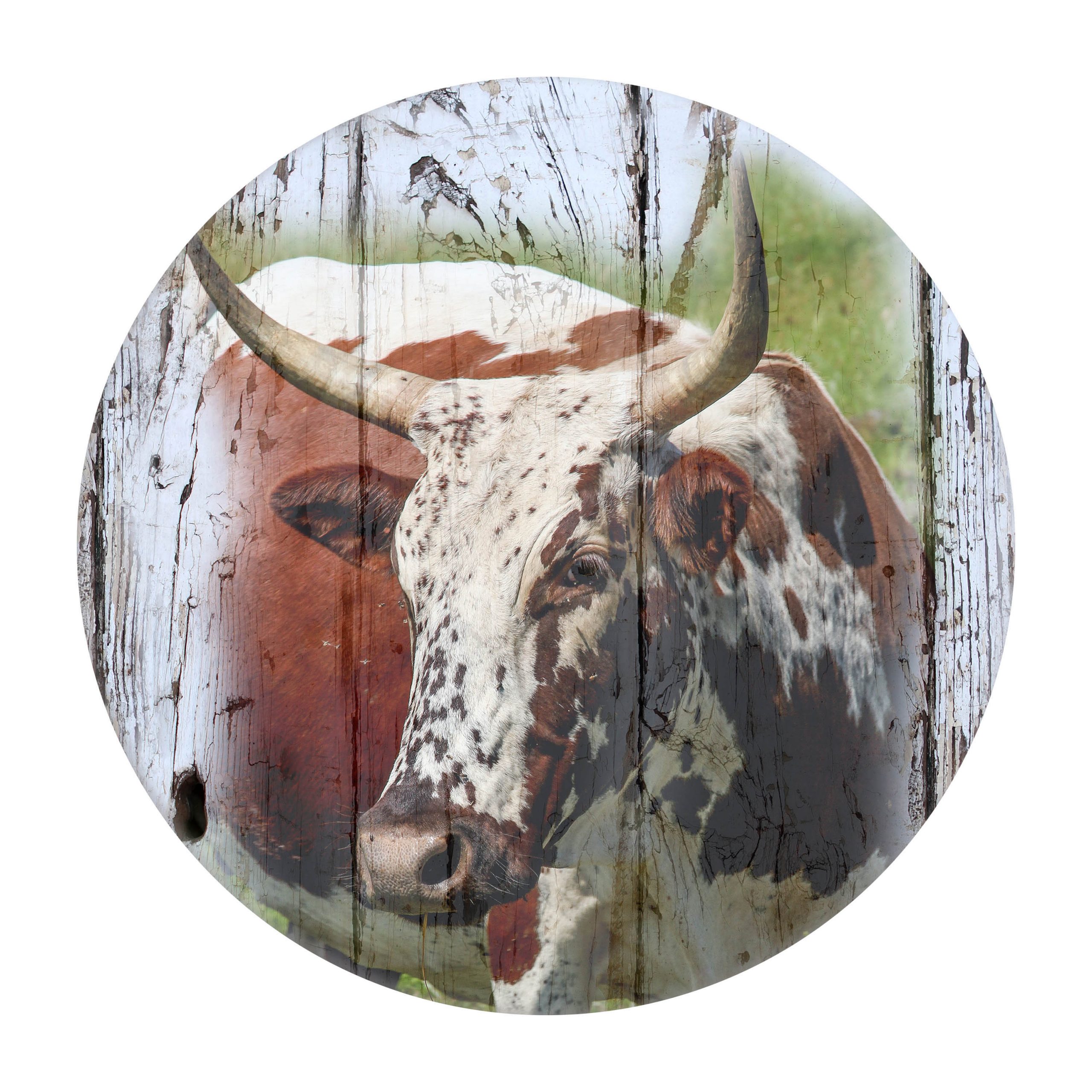 Cutting Boards Round Nguni 4