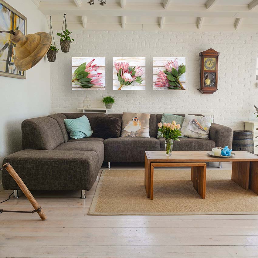 Canvas, canvas decor, wall art, print, inspire photography and decor, proteas, pink protea, flowers, king proteas on rustic white washed wooden background, wood,, set of 3 canvas prints
