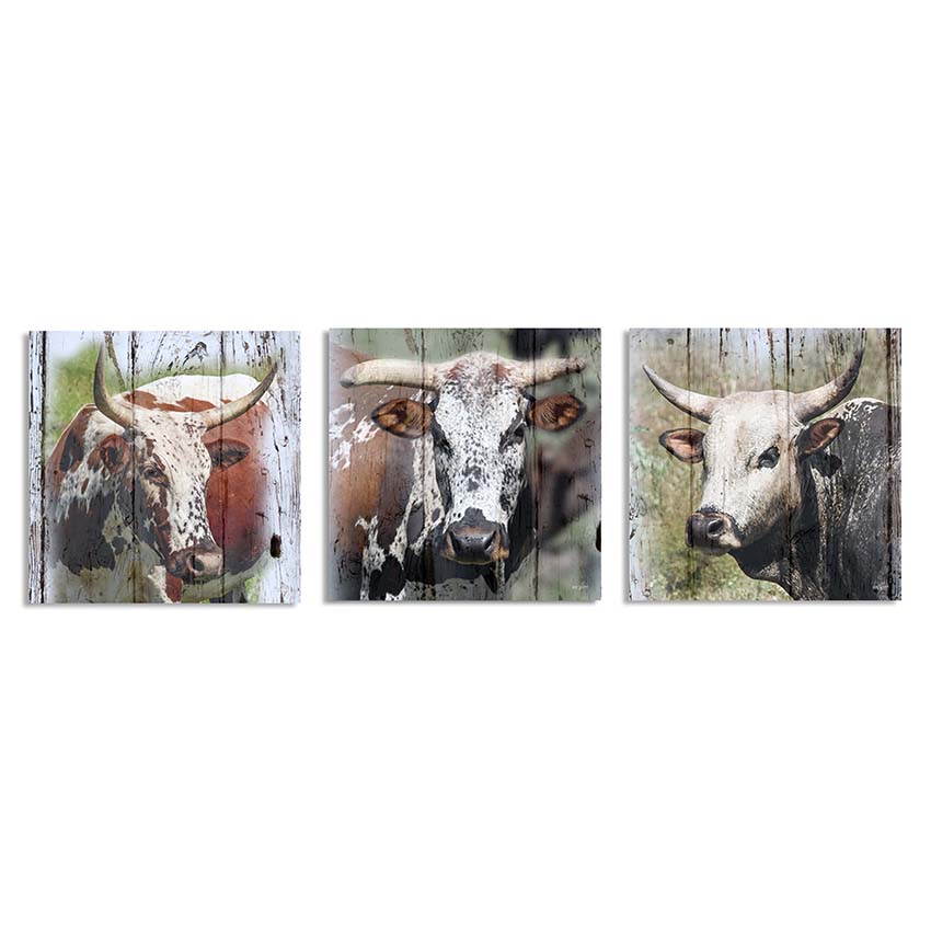 Canvas – Set of 3 Nguni Cows