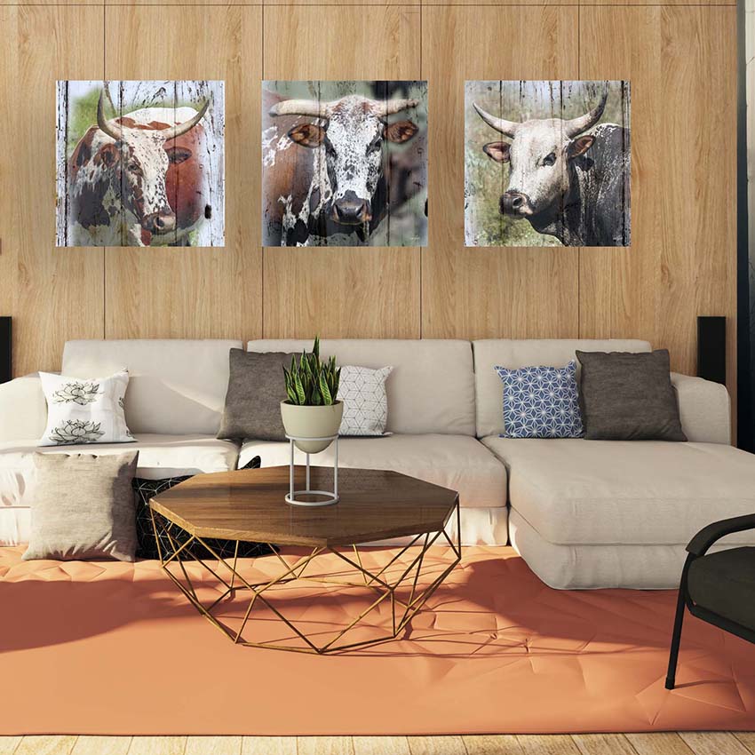 Canvas, canvas decor, wall art, print, inspire photography and decor, nguni, nguni cows, black and white print, south African art, set of three canvas prints, south africa