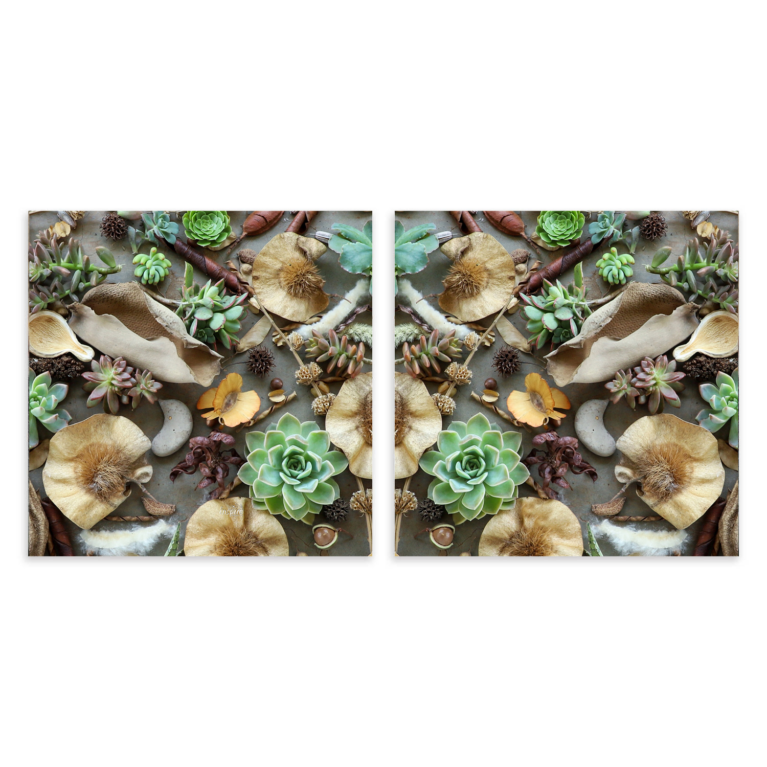 Scatter Cushion Bushveld seeds and Greens