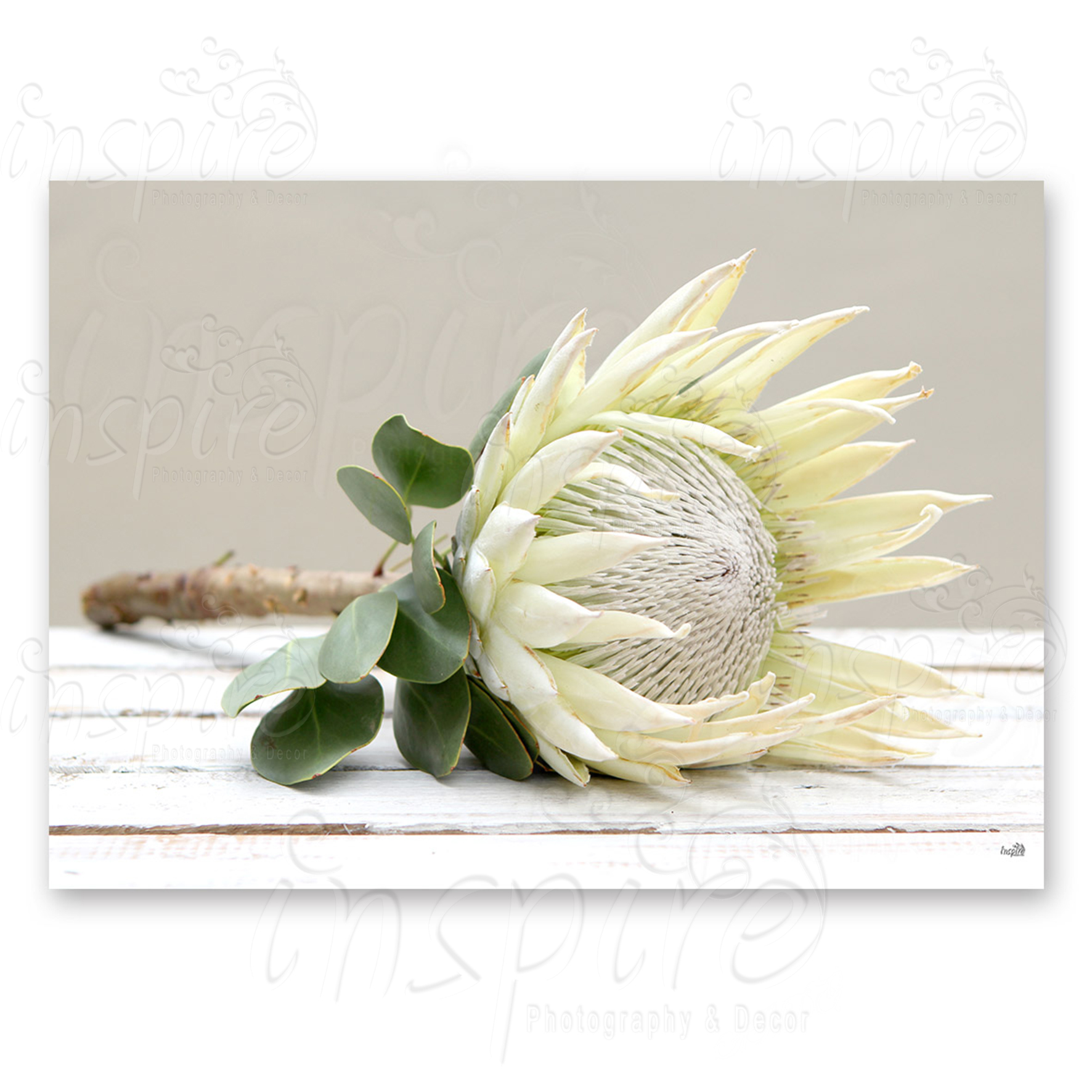 A3 White Protea Cutting Board – 9487