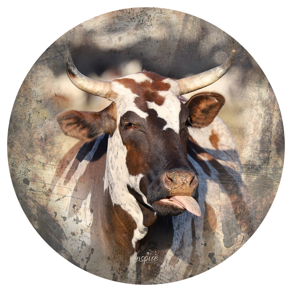 Funky Cow Cutting Board (Round)
